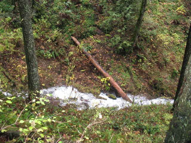 11.11.06 Waukeena Multnomah Falls 018 